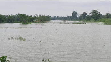 Photo of बिहार: मानसून की इंट्री होते ही रौद्र रूप दिखाने लगी कोसी नदी