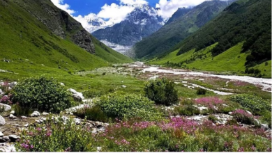 Photo of उत्तराखंड: आज पर्यटकों के लिए खुल जाएगी विश्व विख्यात फूलों की घाटी